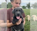 Small #2 Breeder Profile image