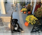 Small #53 Breeder Profile image