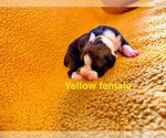 Small #6 Breeder Profile image