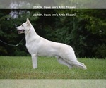Small #2 Breeder Profile image
