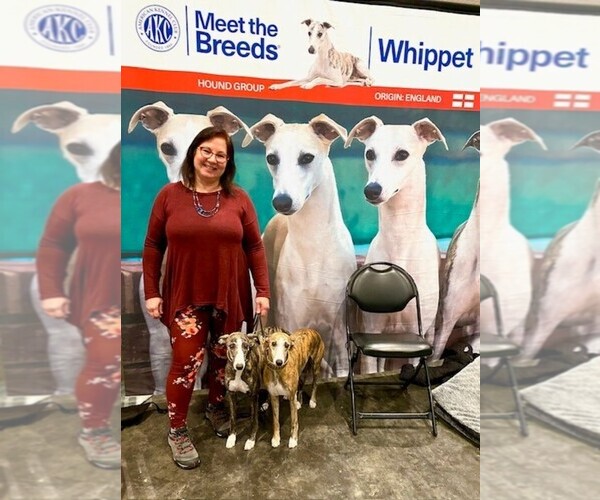 Medium Photo #7  Breeder Profile in COVENTRY, RI, USA