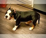 Small #18 Breeder Profile image
