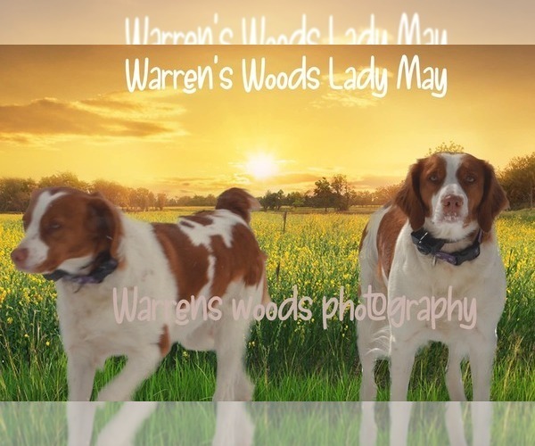 Medium Photo #2  Breeder Profile in THOMPSONVILLE, MI, USA