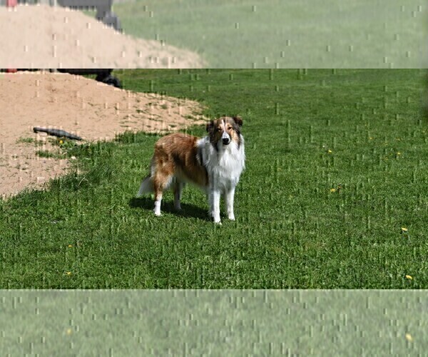 Medium Photo #4  Breeder Profile in PARIS, MI, USA