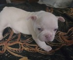 Small #3 Breeder Profile image