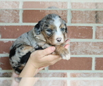 Small #3 Breeder Profile image