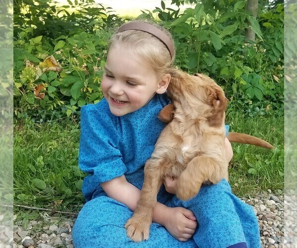 Medium Photo #5  Breeder Profile in JONES, MI, USA