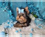 Small #24 Breeder Profile image