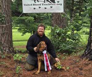 Bloodhound Dog Breeder near FLAT ROCK, IL, USA