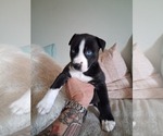 Small #15 Breeder Profile image