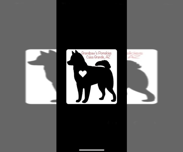 Medium Photo #1  Breeder Profile in CASA GRANDE, AZ, USA