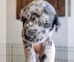 Small #18 Breeder Profile image