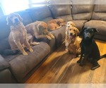 Small #4 Breeder Profile image