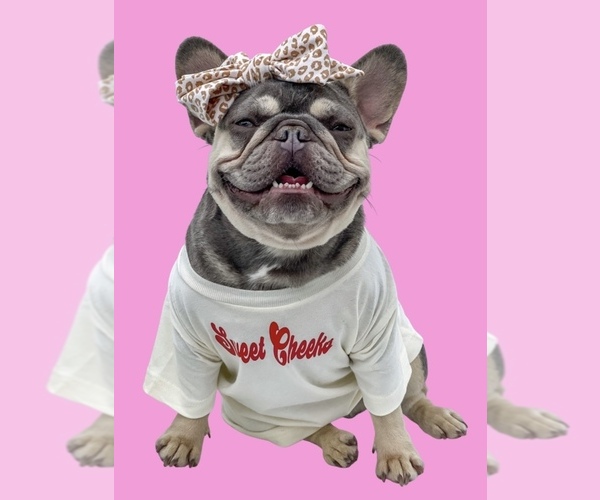 Medium Photo #1  Breeder Profile in BEAUMONT, CA, USA