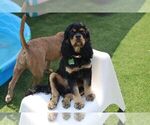 Small #28 Breeder Profile image