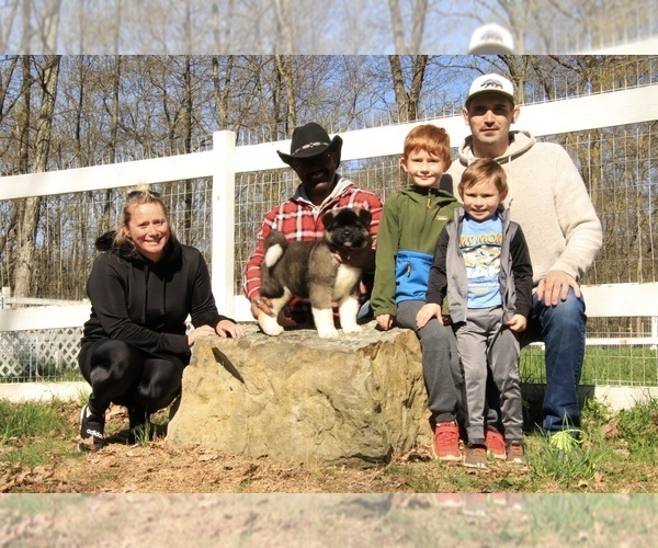 Medium Photo #16  Breeder Profile in SUSSEX, NJ, USA