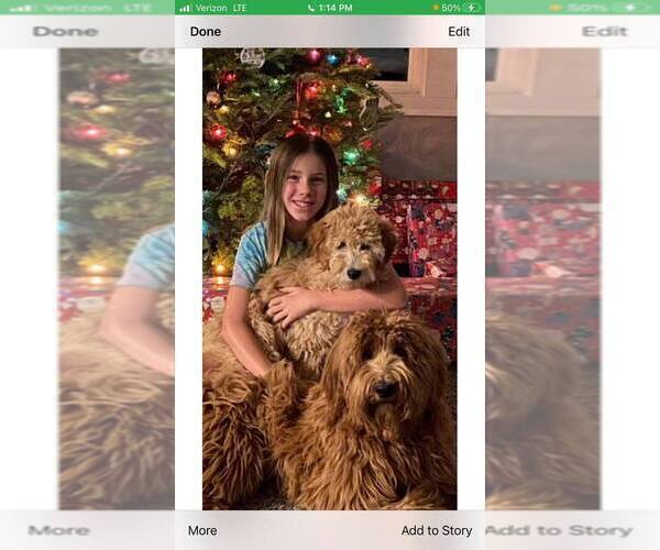 Medium Photo #1  Breeder Profile in CROTON, MI, USA