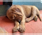 Small #14 Breeder Profile image