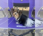 Small #4 Breeder Profile image