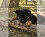 Small #1 Breeder Profile image