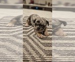 Small #13 Breeder Profile image
