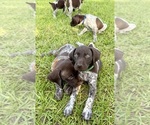 Small #24 Breeder Profile image