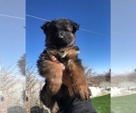 Small #113 Breeder Profile image