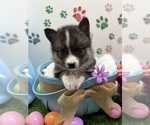 Small #5 Breeder Profile image