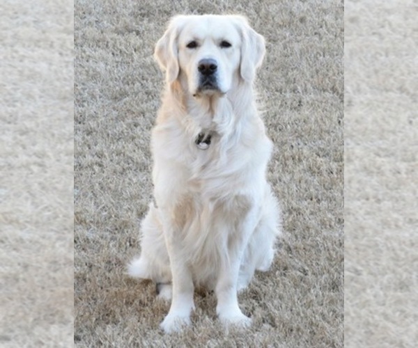 Medium Photo #3  Breeder Profile in JEFFERSON, GA, USA