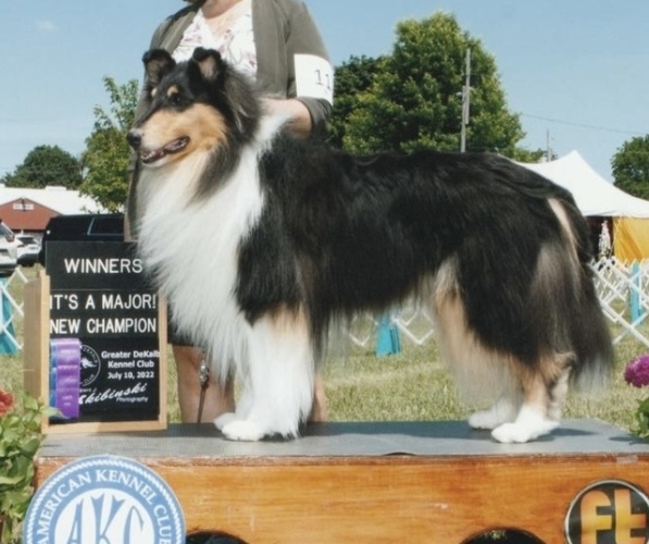 Medium Photo #1  Breeder Profile in ALLENDALE, MI, USA