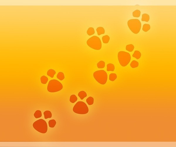 Medium Photo #1  Breeder Profile in TECUMSEH, MI, USA