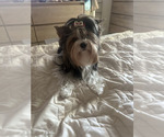 Small #9 Breeder Profile image
