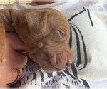 Small #3 Breeder Profile image