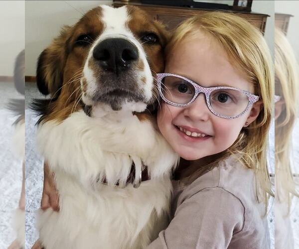 Medium Photo #34  Breeder Profile in PARIS, MI, USA