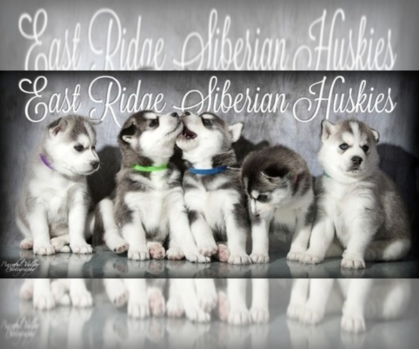 Medium Photo #1  Breeder Profile in LA VALLE, WI, USA
