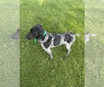 Small #4 Breeder Profile image
