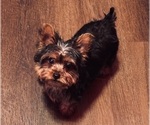 Small #5 Breeder Profile image