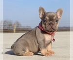 Small #16 Breeder Profile image