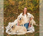Small Photo #1  Breeder Profile in BELLEFONTAINE, OH, USA