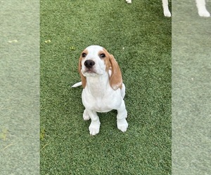 Medium Breeder Profile Photo