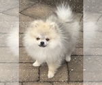 Small #10 Breeder Profile image