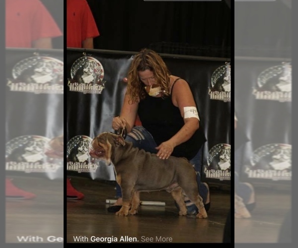 Medium Photo #11  Breeder Profile in CALDWELL, TX, USA