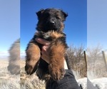Small #108 Breeder Profile image