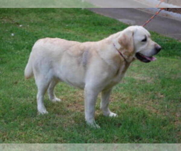 Medium Photo #1  Breeder Profile in JACKSON, MI, USA