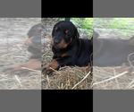 Small #6 Breeder Profile image