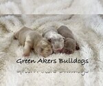 Small #14 Breeder Profile image