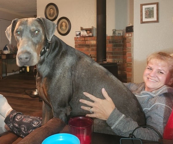 Medium Photo #1  Breeder Profile in BEGGS, OK, USA