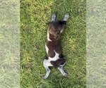 Small #14 Breeder Profile image