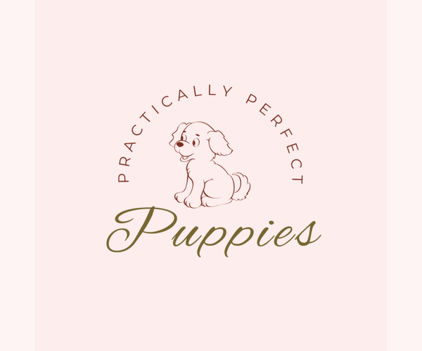 Medium Photo #1  Breeder Profile in PHILADELPHIA, PA, USA