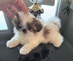 Small #11 Breeder Profile image